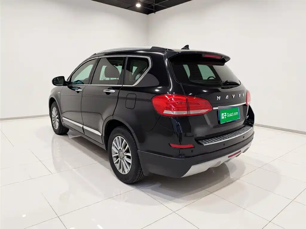 Haval H6 2017 Blue Label Sport 1.5T Auto 2WD Luxury фото 5