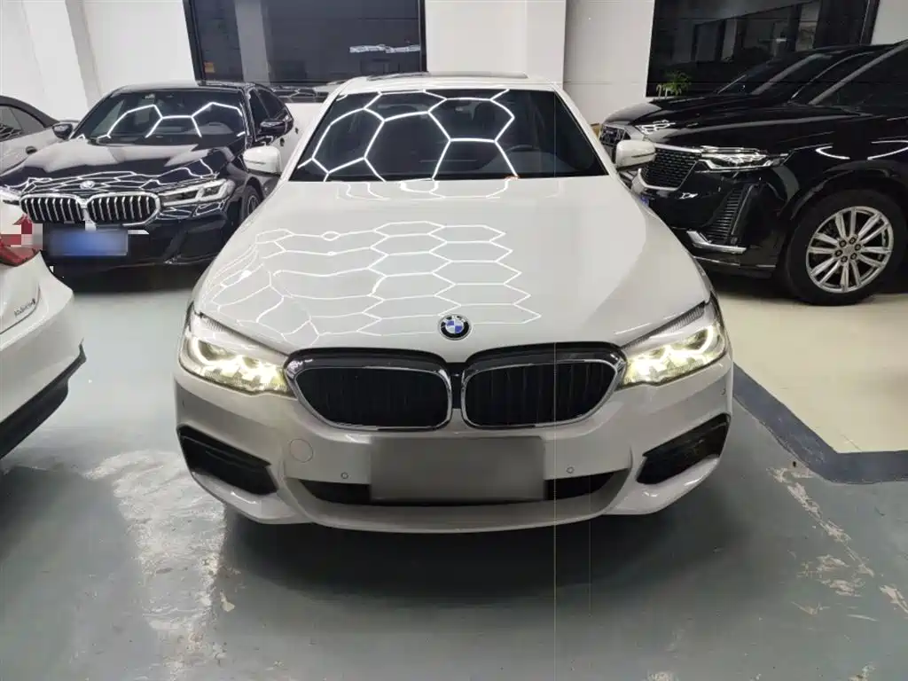 BMW 5 Series 2019 530Li Leading M Sport Package фото 3