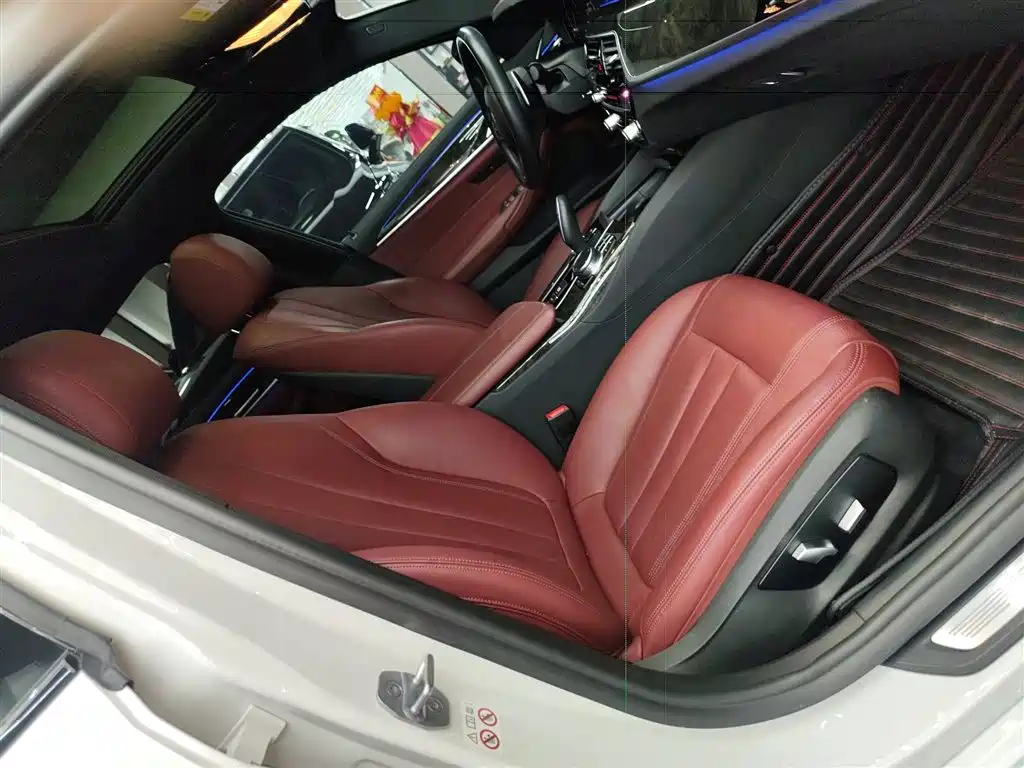 BMW 5 Series 2019 530Li Leading M Sport Package фото 25