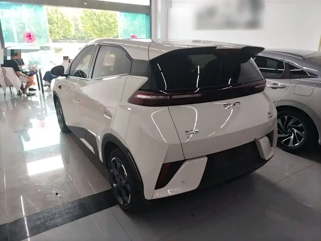 BYD Seagull 2025 Smart Drive Edition 305km Freedom Version фото 5