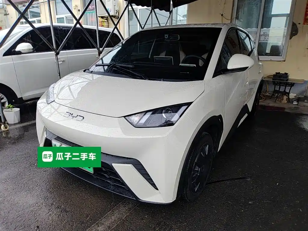 BYD Seagull 2024 Glory Edition 305km Vitality Edition фото 2