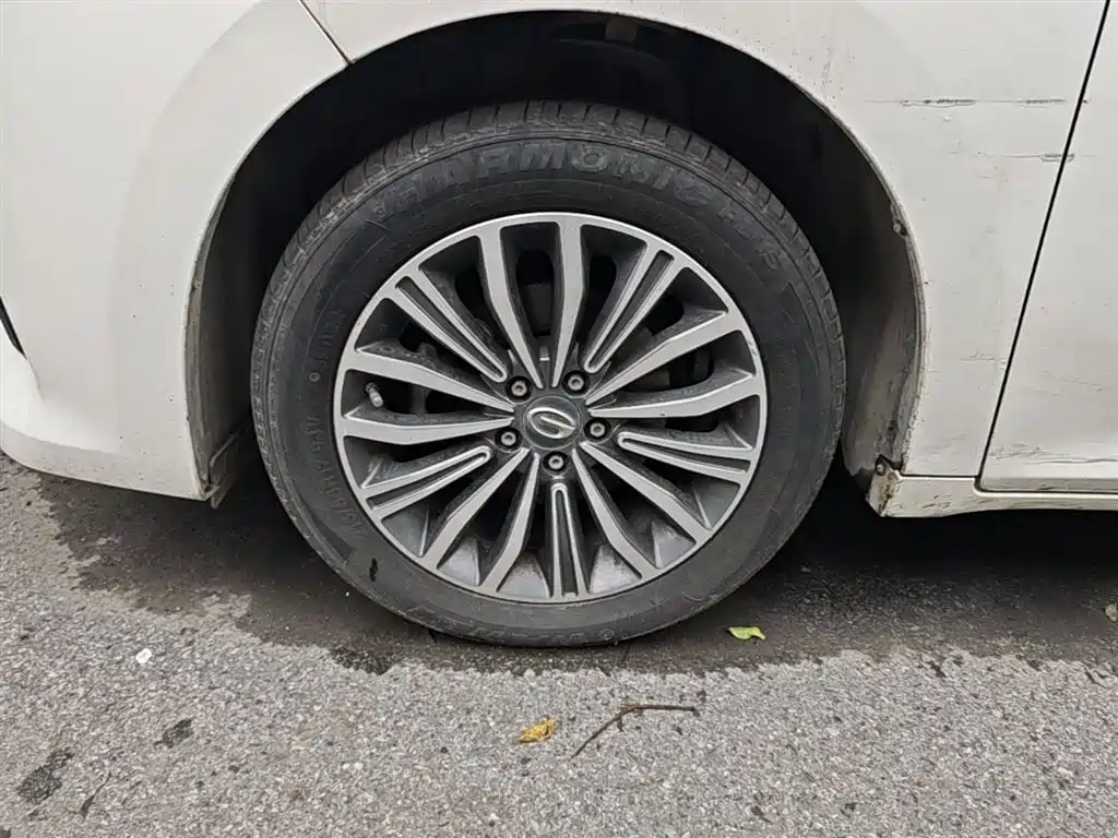 GAC Trumpchi Trumpchi M6 2019 270T DCT Premium Edition (7-seater) (China VI) фото 23