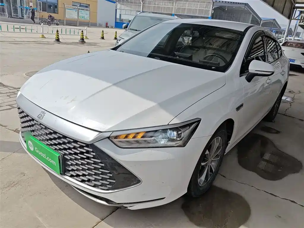 BYD Qin PLUS 2023 Champion Edition DM-i 55KM Leading