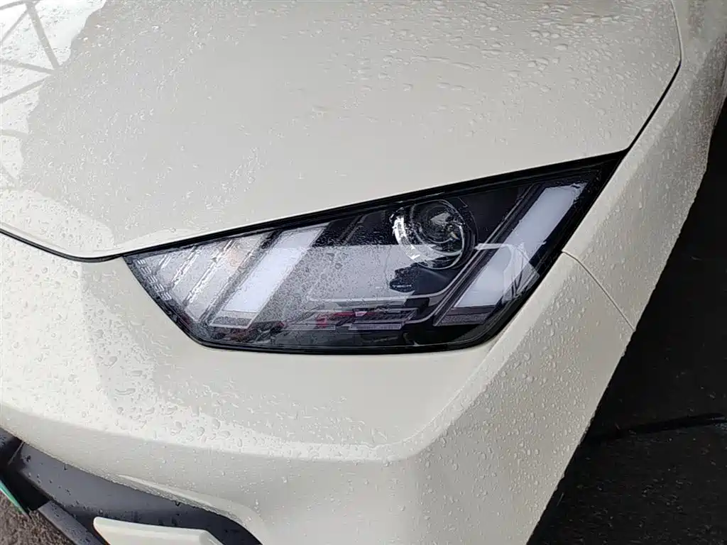 BYD Seagull 2024 Glory Edition 305km Vitality Edition фото 24