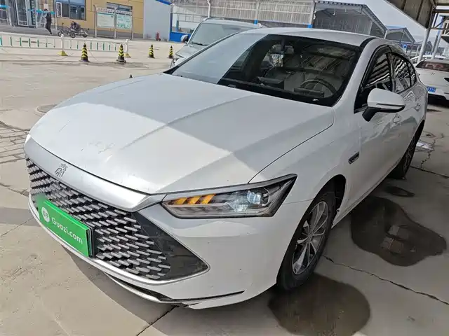 BYD Qin PLUS Чемпион, DM-i 55KM, Лидер