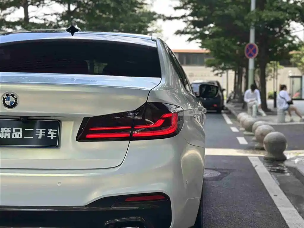 BMW 5 Series 2019 530Li Leading M Sport Package фото 11