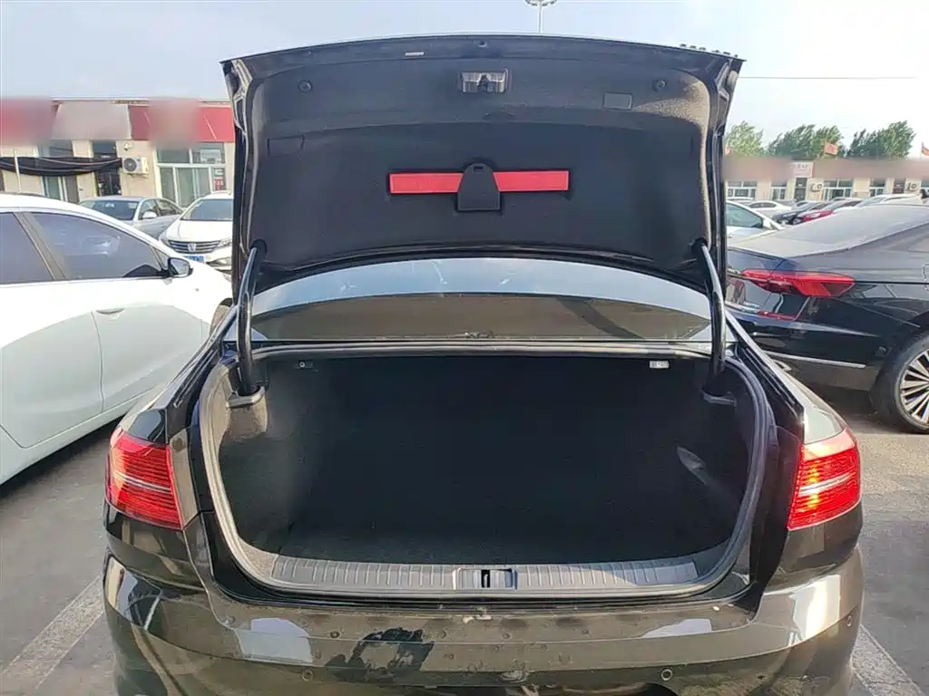 Volkswagen Magotan 2019 330TSI DSG Leading China V фото 15