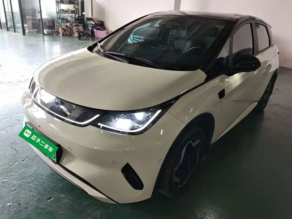 BYD Dolphin 2025 2025 Smart Drive Edition 420km Freedom Version