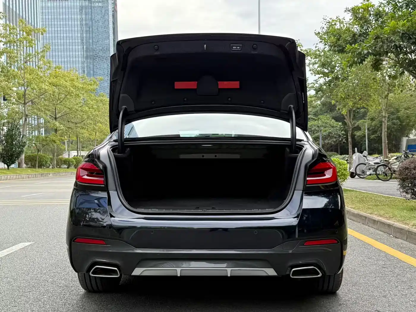 BMW 5 SERIES NEW ENERGY