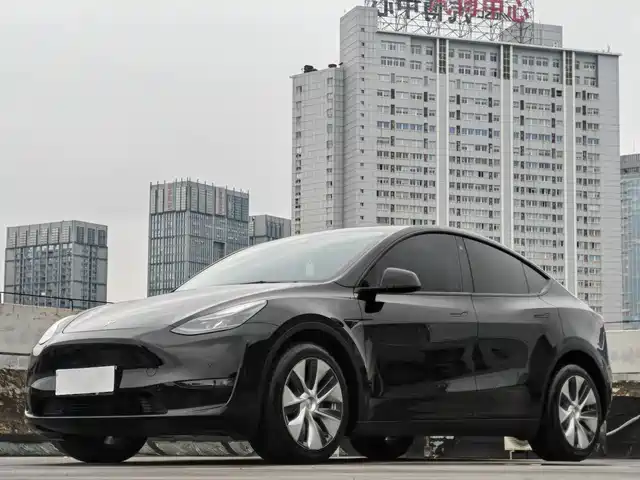 Tesla Model Y Увеличенный запас хода, полный привод