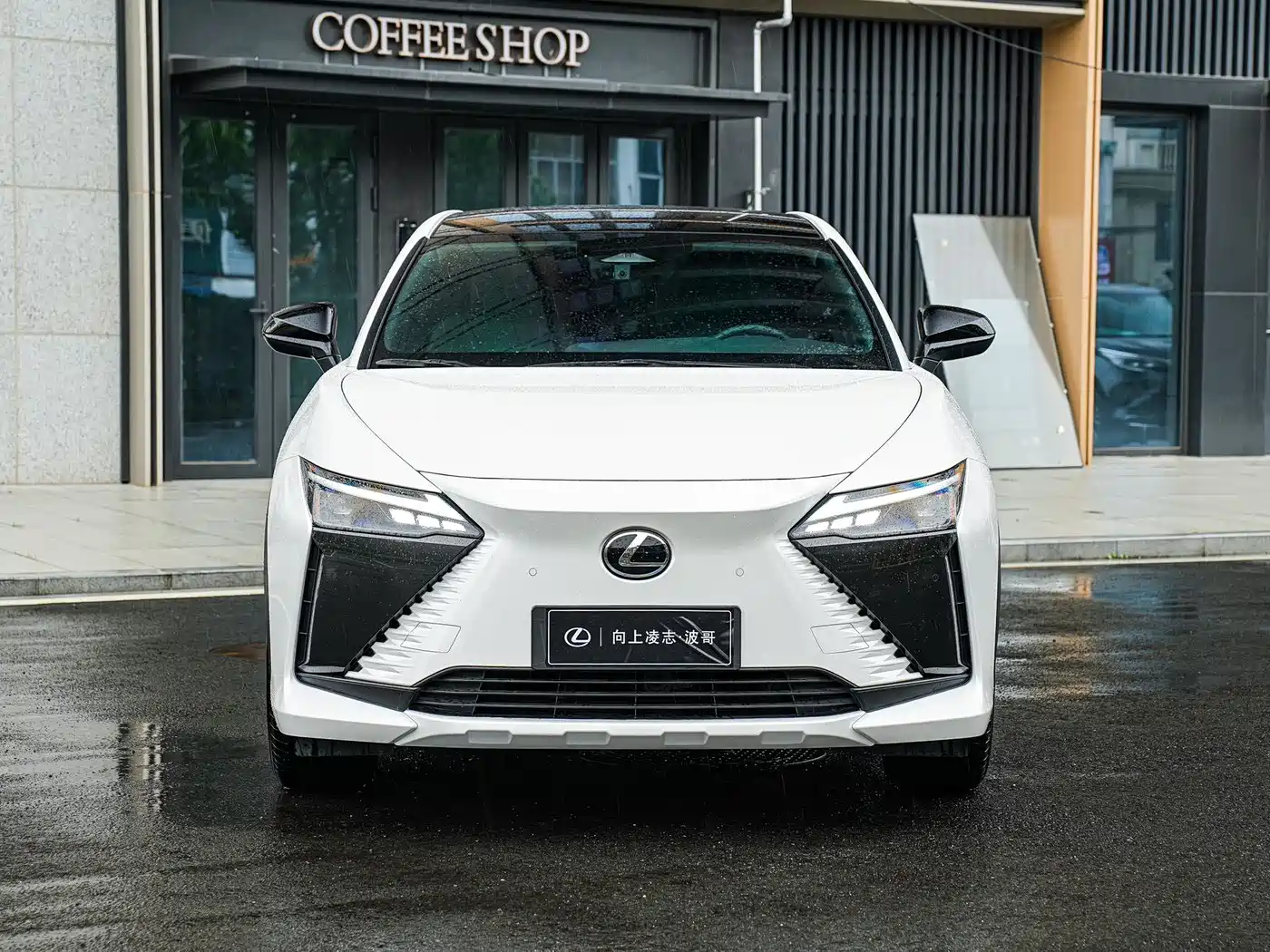 Lexus RZ 2023 450e 4WD Deluxe фото 2