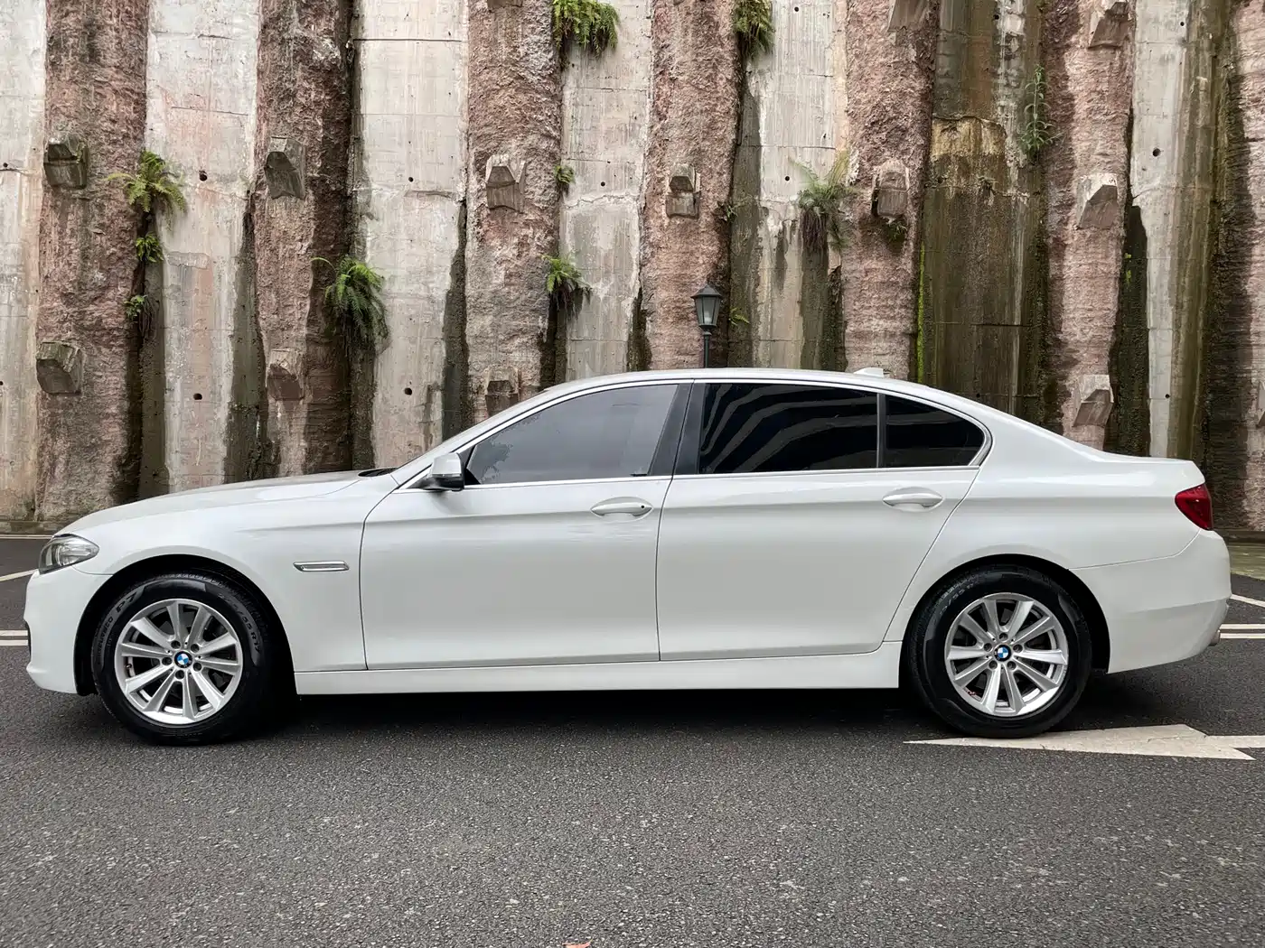 BMW 5 Series 2014 520Li Elegance фото 4