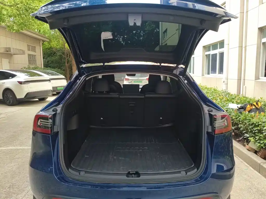 Tesla Model Y 2021 2021 Long Range All-Wheel Drive 3D7