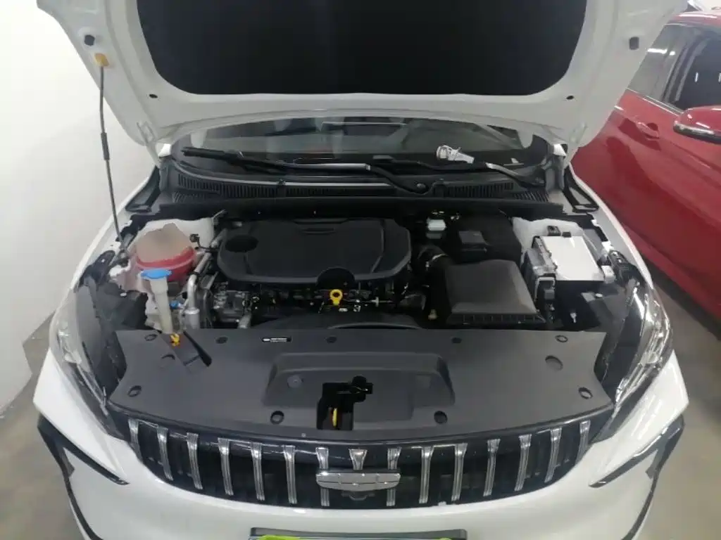 Фото 16 - Geely Binrui