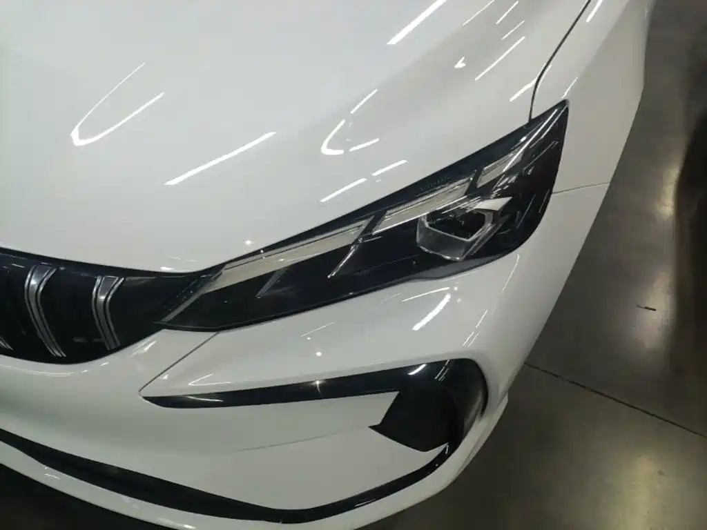 Фото 18 - Geely Binrui