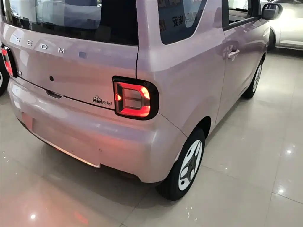 Geely Galaxy Panda 2025 Panda mini 210km Vitality Bear фото 8