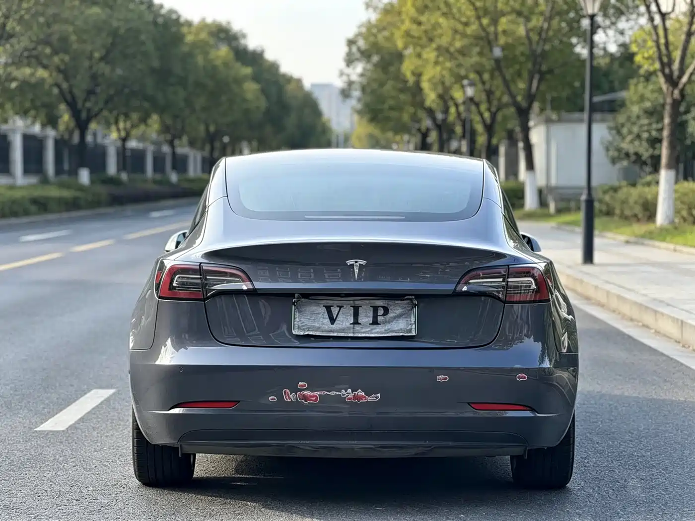 TESLA MODEL 3 (IMPORTED)