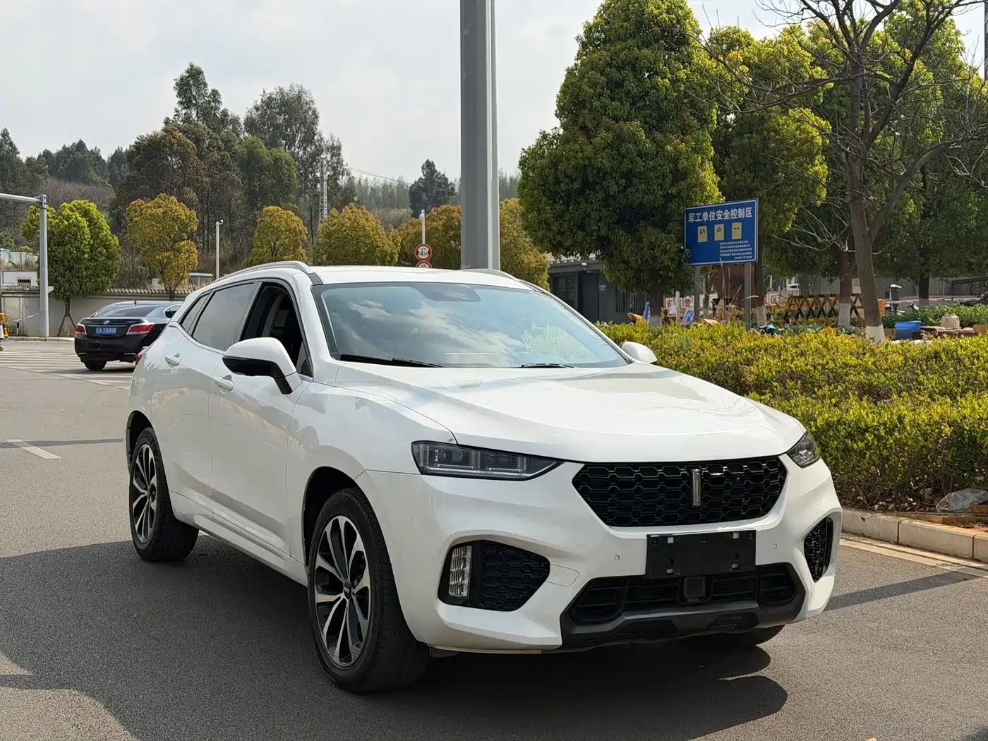 WEI PAI WEI BRAND VV7