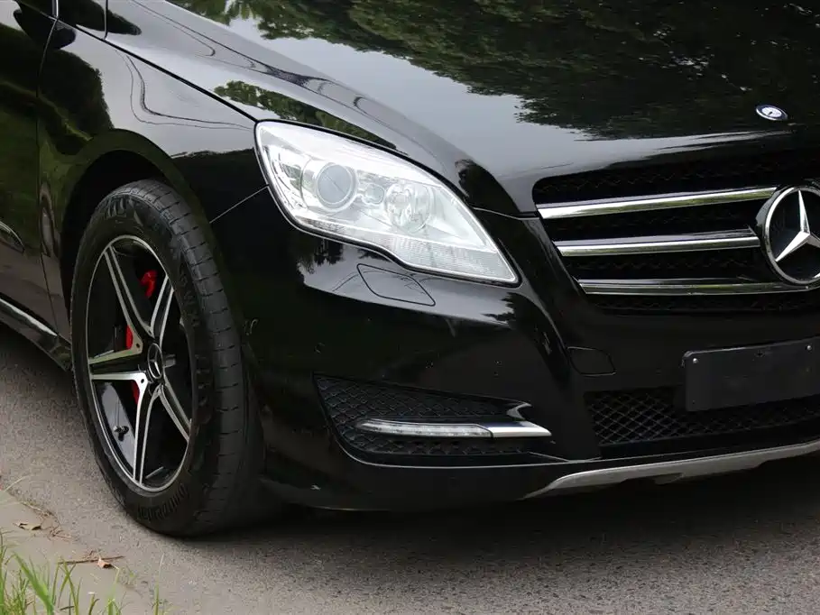 Mercedes-Benz R-Class 2015 R 320 4MATIC Luxury фото 16