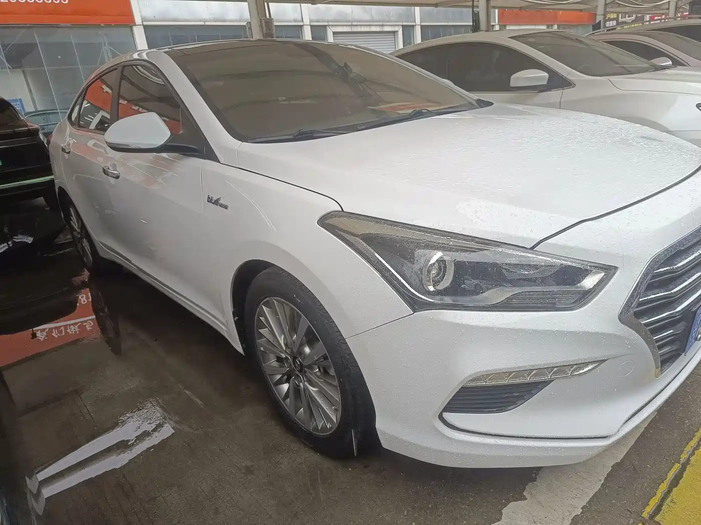 HYUNDAI NAME PICTURE