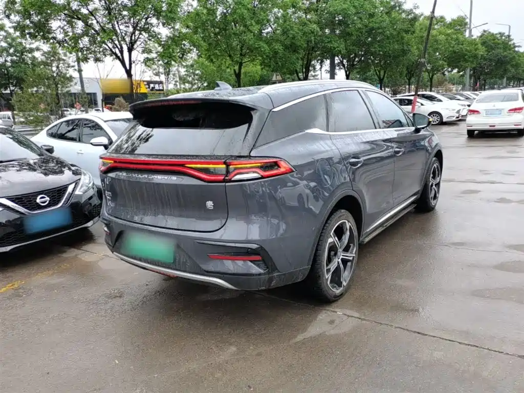 BYD Tang New Energy 2021 DM-i 112KM Honor фото 7