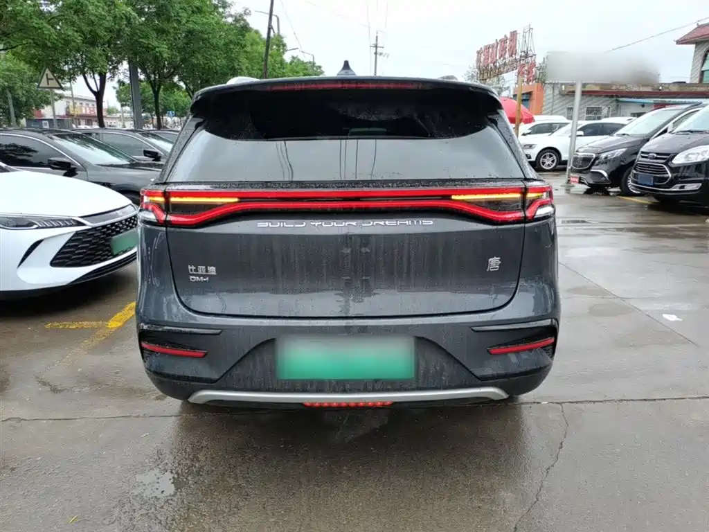 BYD Tang New Energy 2021 DM-i 112KM Honor фото 6