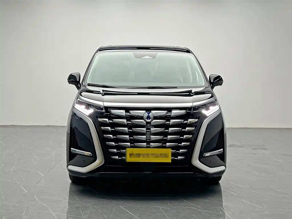 Denza D9 2024 DM-i 980 AWD Premium фото 2