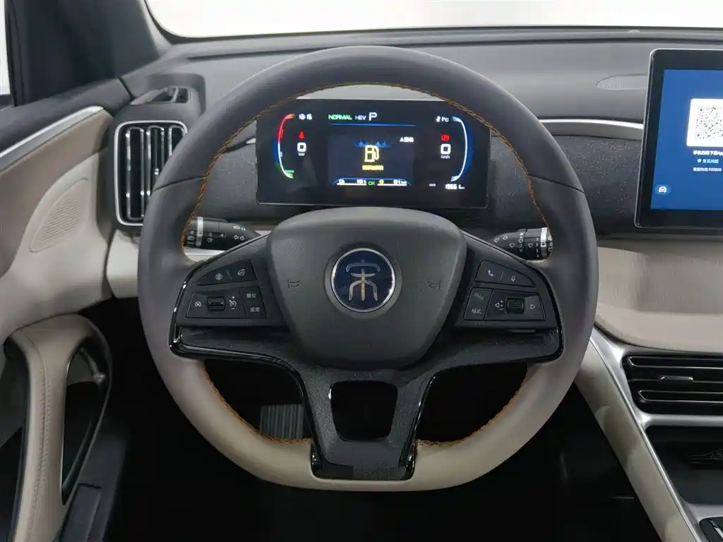 BYD Song Pro New Energy 2024 Glory Edition DM-i 71KM Pilot фото 11