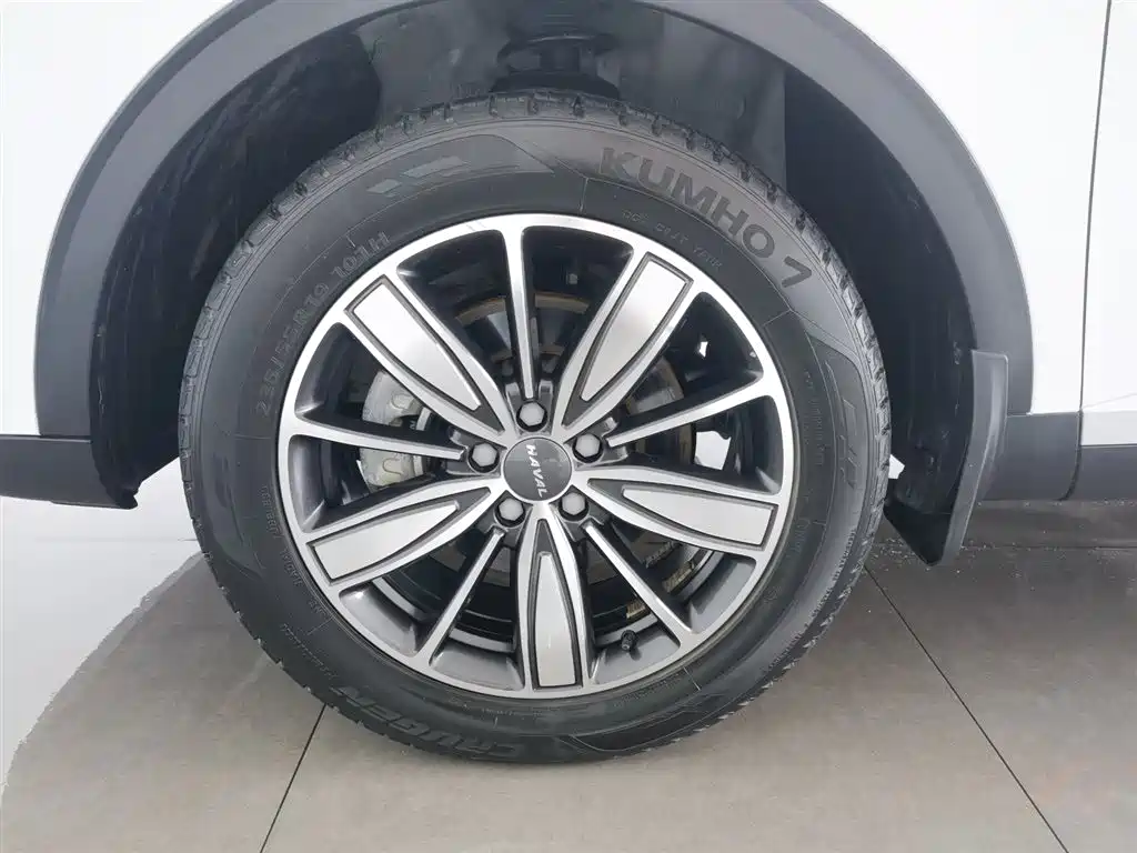 Haval H6 2021 1.5GDIT Automatic Champion Edition фото 17