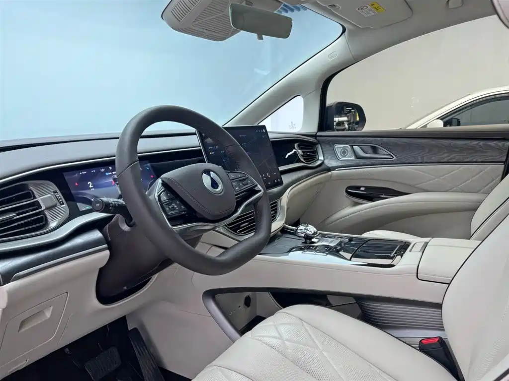 Denza D9 2024 DM-i 980 AWD Premium фото 14