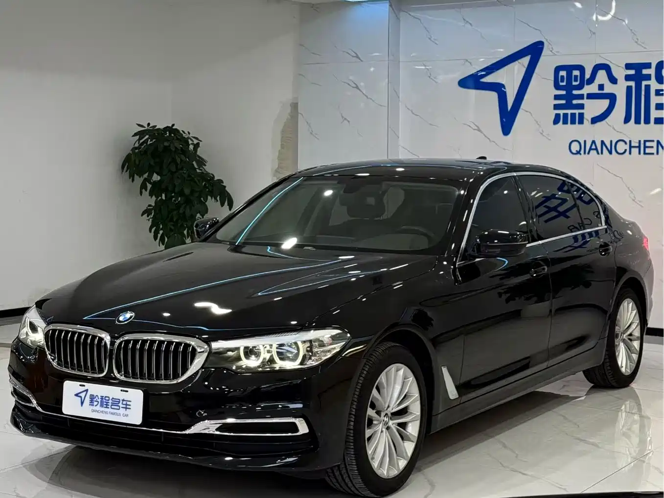 BMW 5 Series 2020 525Li Luxury Package