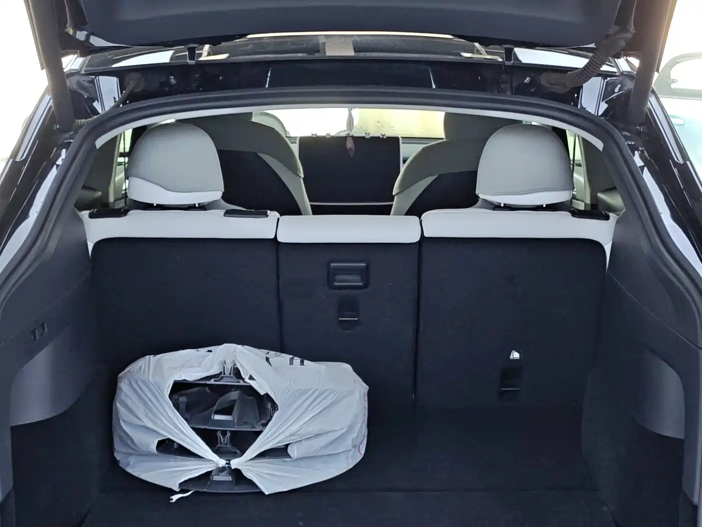 Tesla Model Y 2021 2021 Standard Range Rear-Wheel Drive