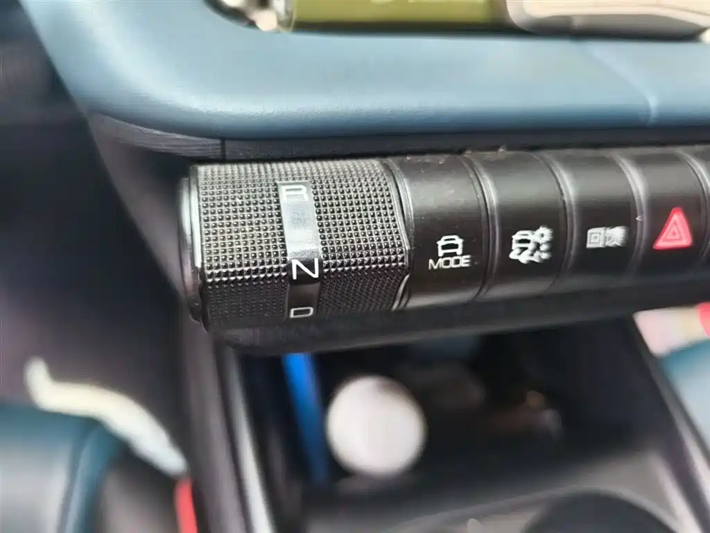 BYD Dolphin 2021 401km Knight Edition фото 14