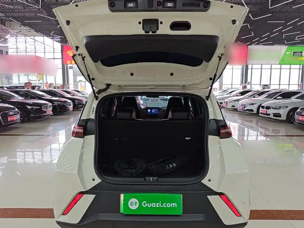 BYD Seagull 2023 Vitality Edition фото 19