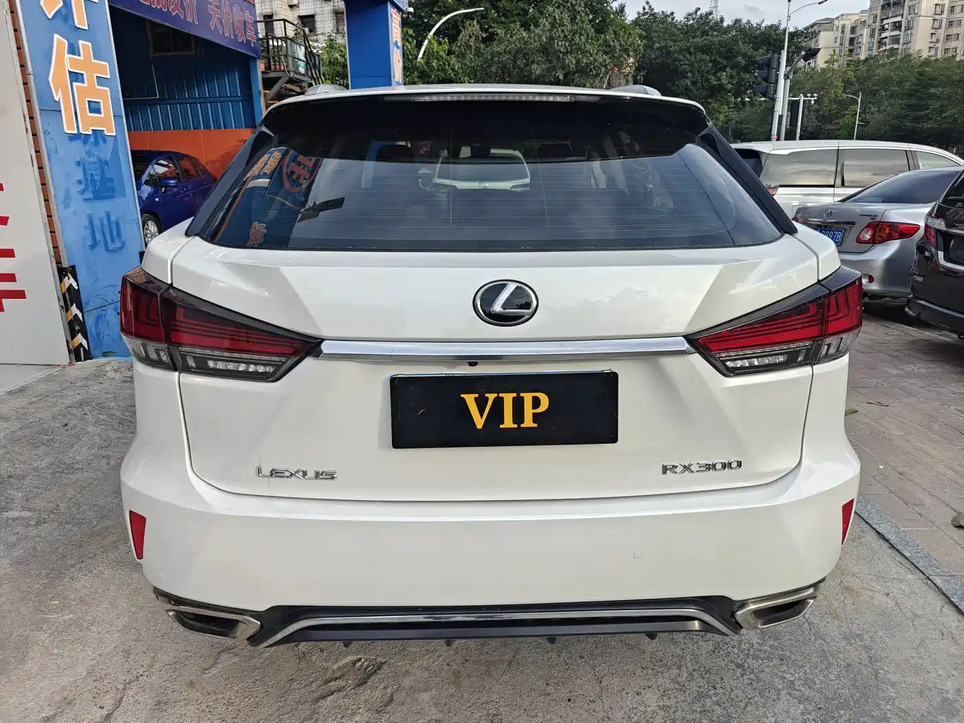 LEXUS RX