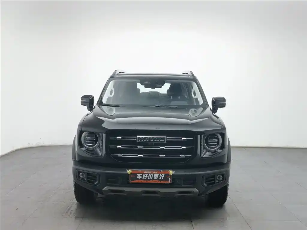 HAVAL BIG DOG