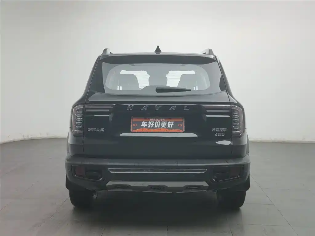 HAVAL BIG DOG