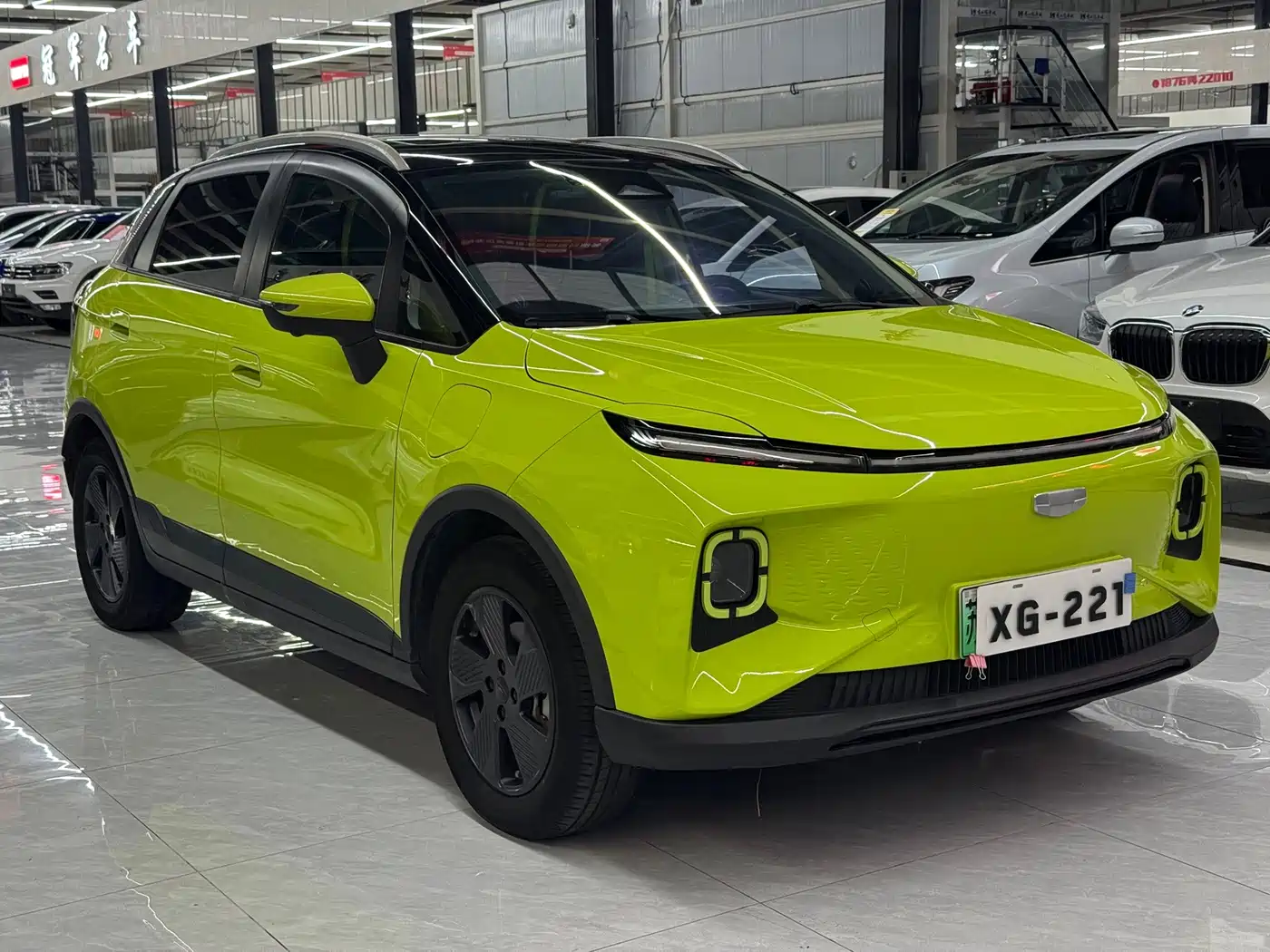 Geely Geometry E Firefly 2022 2022 401KM Thunder Tiger 4-Seater