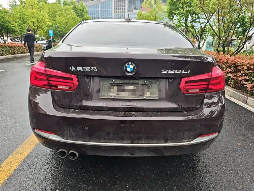 BMW 3 Series 2017 320Li Fashion фото 4