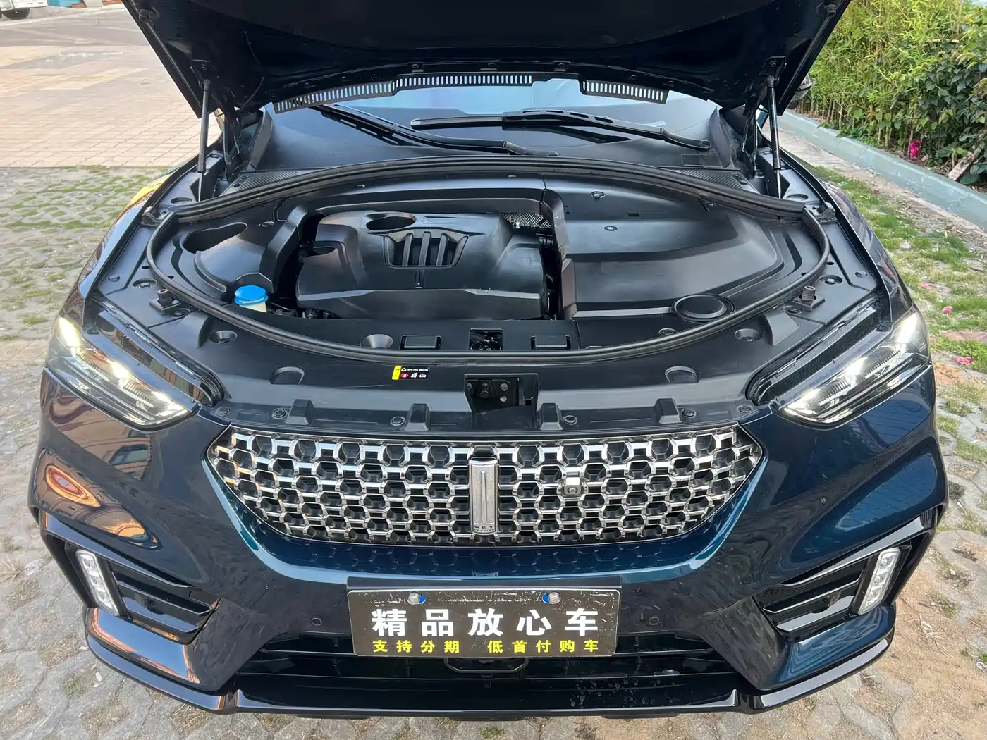 WEI PAI WEI BRAND VV7