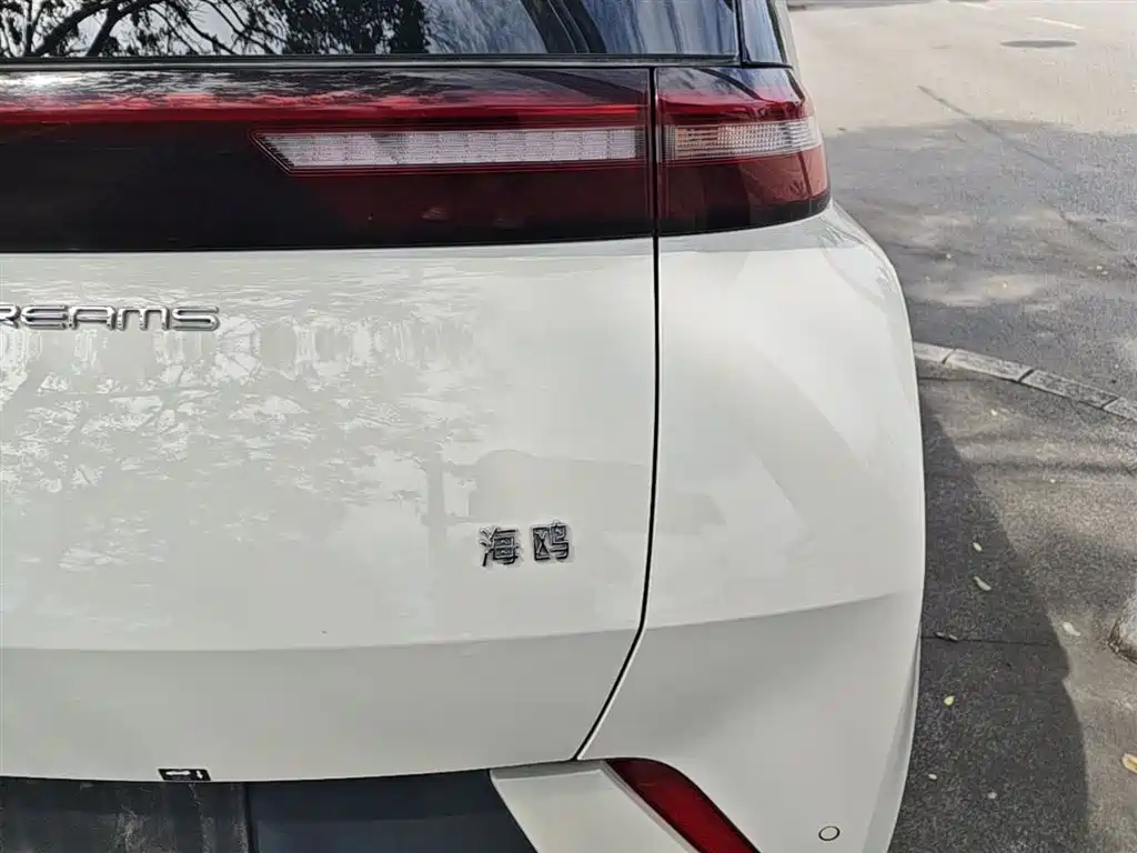 BYD Seagull 2024 Glory Edition 305km Vitality Edition фото 8