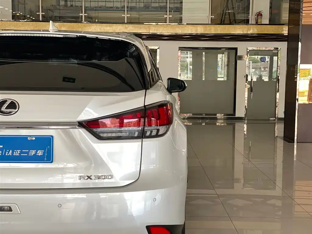Lexus RX 2020 Facelift 300 2WD Elite Edition фото 16