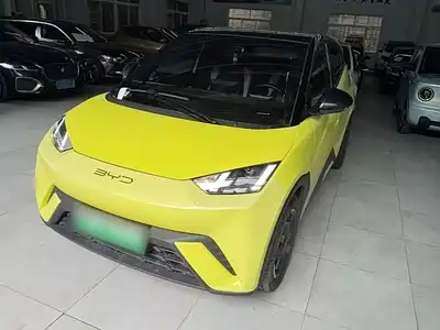 BYD Seagull