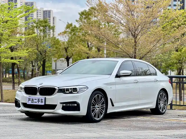 BMW 5 SERIES
