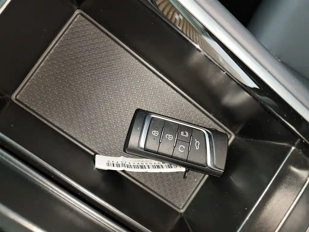 GAC Trumpchi Trumpchi M8 2023 Leading Series 390T Premium Edition фото 17