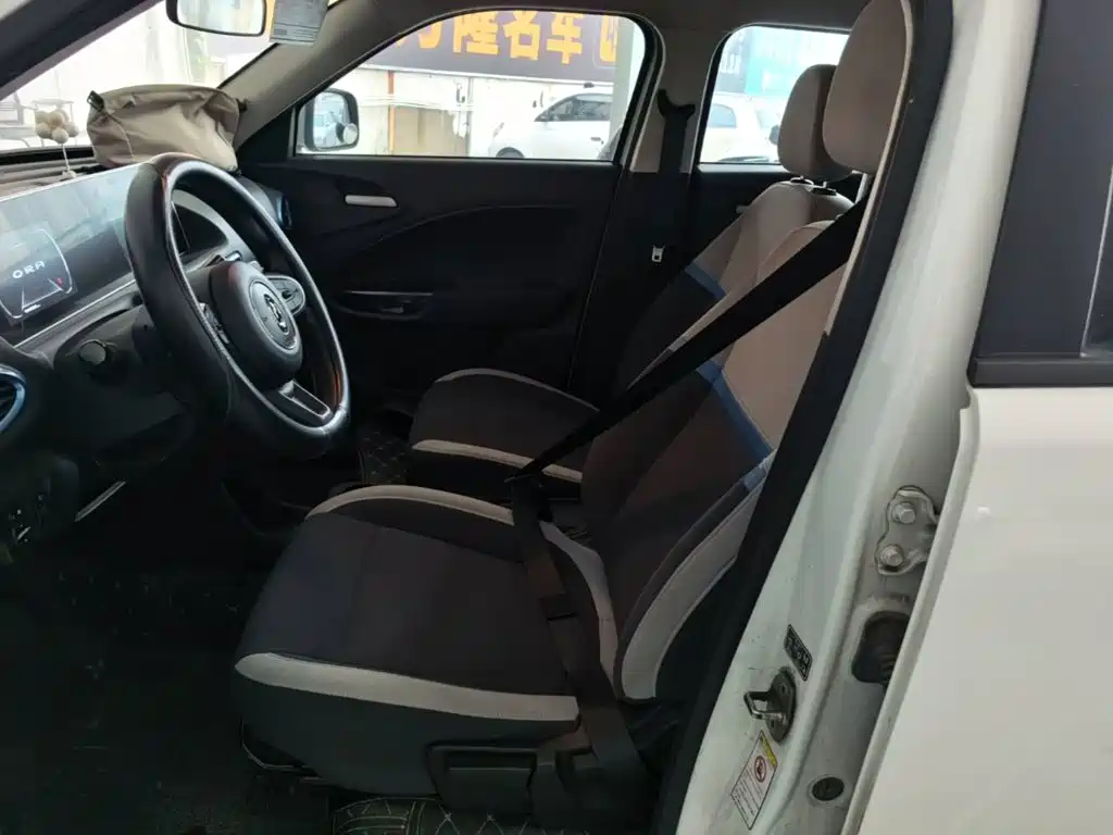 Ora White Cat 2021 2020 305km Luxury