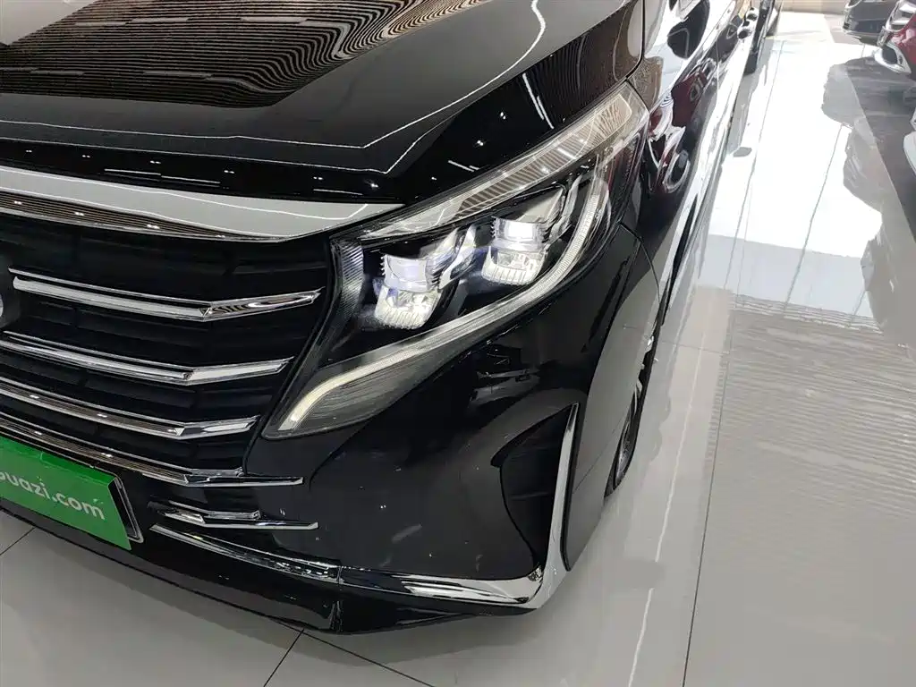 GAC Trumpchi Trumpchi M8 2023 Leading Series 390T Premium Edition фото 18