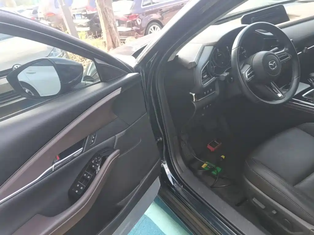 Mazda CX-30 2021 2021 2.0L Auto Premium Joy Type