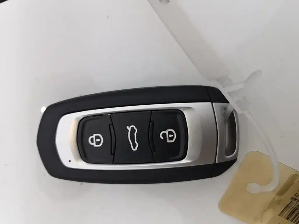 Geely Galaxy Panda 2026 2025 Panda mini 210km Vitality Bear