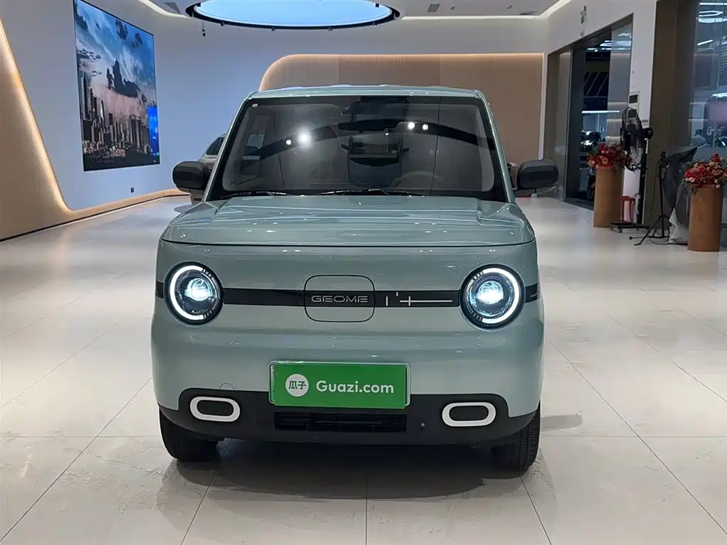 Geely Galaxy Panda 2025 Panda mini 210km Vitality Bear фото 26